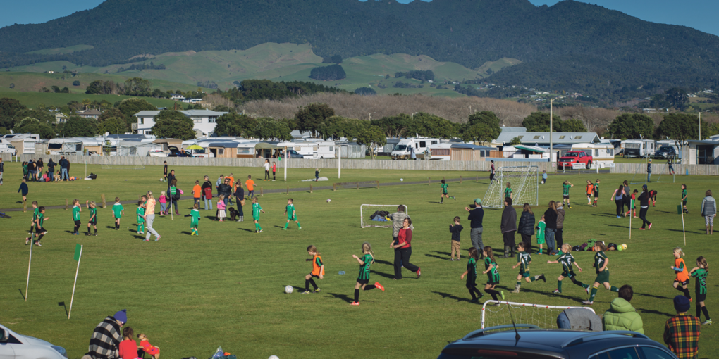 busy-field-and-mountain