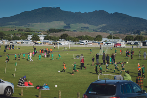 busy-field-and-mountain