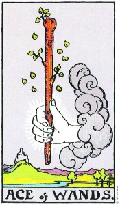 Ace of Wands