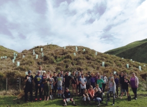 Community volunteers along with Te Mata School students helped with planting at the south end of Ruapuke. 